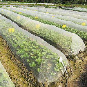 한랭사 비닐하우스 비닐하우스자재 한냉사 2Mx50M