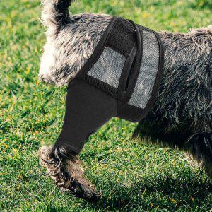 강아지 보호대 슬개골 고관절 통기식 스트랩 M 건강 지원대