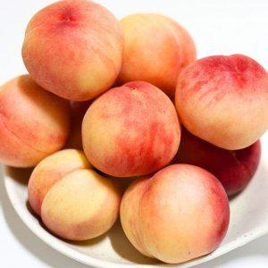 딱딱이 백도 복숭아 1kg 중소과