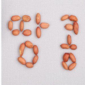 VB 국산땅콩 볶은땅콩 500g 국산볶은땅콩 500gX4봉 (반품불가)