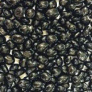 서리태콩씨앗 서리태식물씨 서리태콩종자 식물 품종 30g