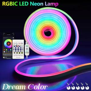 USB 5V RGBIC LED 네온 스트립 조명 드림 컬러 유연한 실리콘 테이프 (리모컨 포함) TV 백라이트 침실 홈데코용