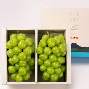 샤인머스캣 선물세트