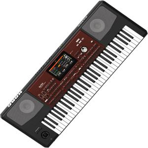 새로운 재고 판매 중 새로운 Korg Pa700 프로페셔널 어레인저 61키 - 터치스크린 및 스피커 포함