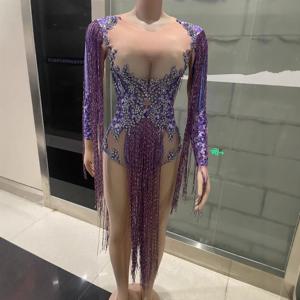 나이트 클럽 바 여성 가수 가짜 고기 보라색 국수 프린지 하이 포크 긴 소매 원피스 보라색 국수 Ballkleid Luxuskleid