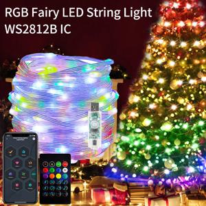 WS2812B RGBIC LED 스트링 라이트 RGB 요정 크리스마스 조명 블루투스 USB 5V 개별 주소 지정 가능 음악 앱 드림 컬러