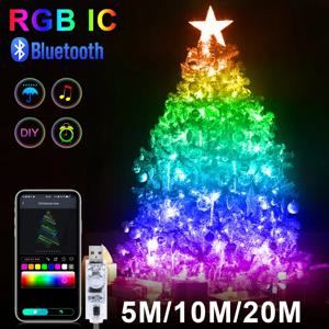 20M RGBIC USB 5V LED 스팅 라이트 블루투스 음악 APP WS2812 프로그래밍 가능한 DIY 요정 조명 생일 파티 갈 랜드 크리스마스 장식