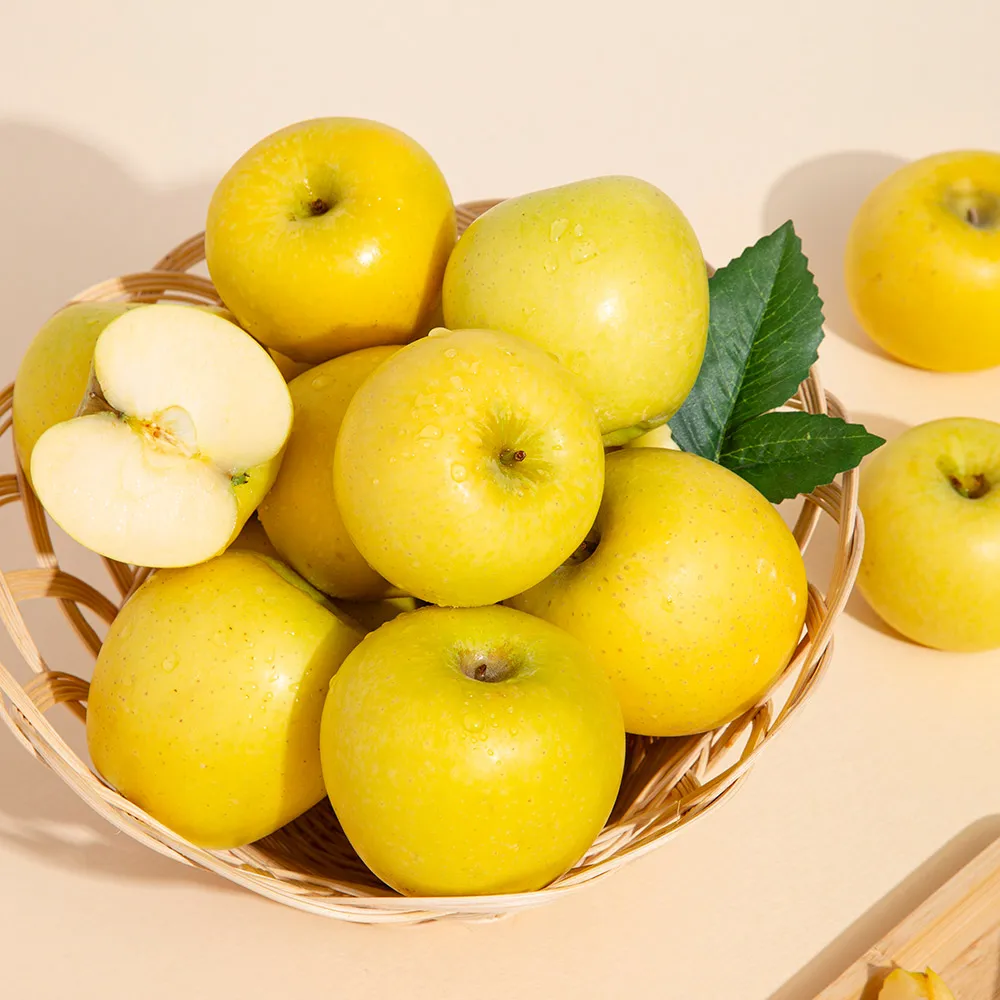 [더조은] 황금사과 시나노골드 주스용 랜덤과 10kg