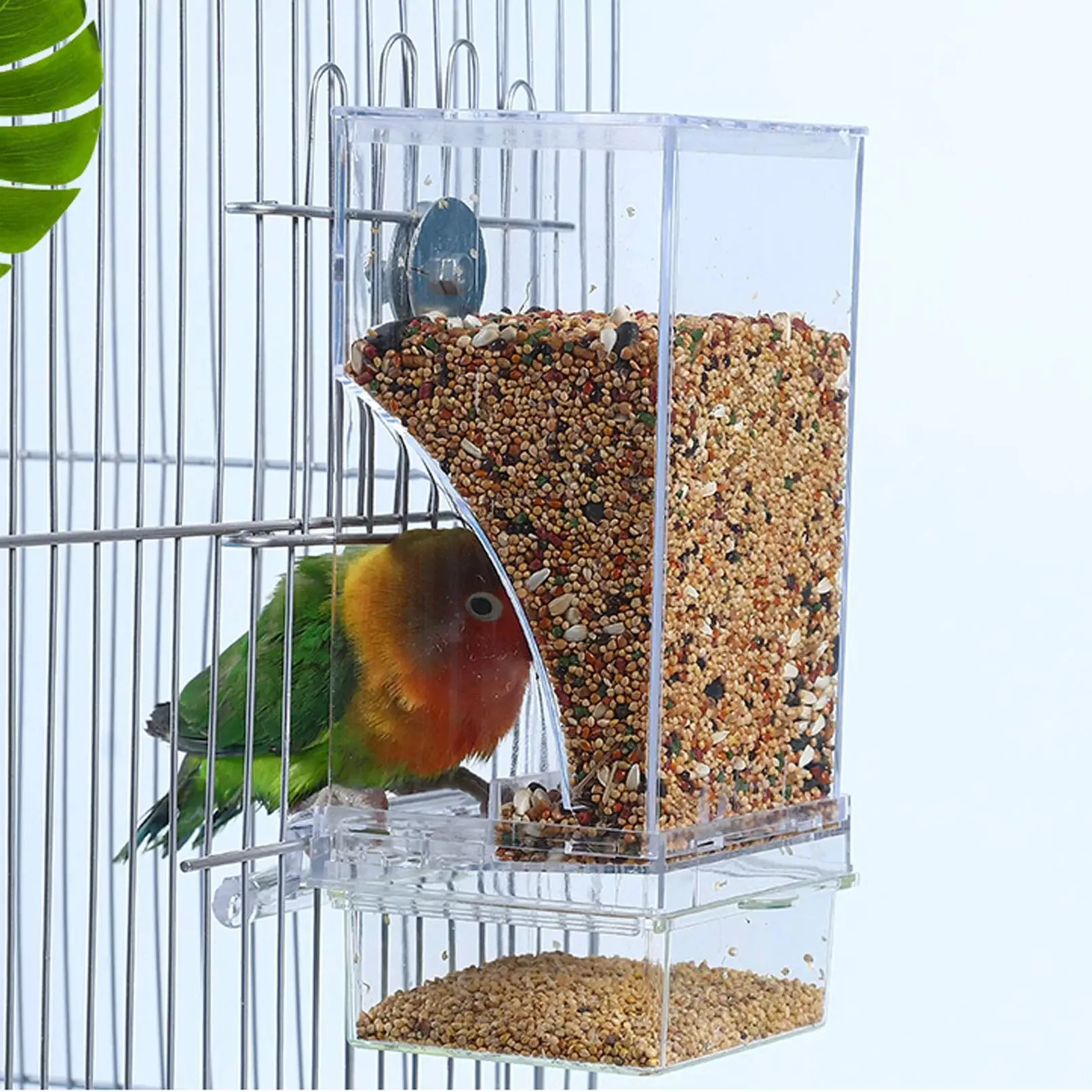 자동 앵무새 새 피더 유출 방지 스플래시 방지 투명 아크릴 디자인 자동 디스펜스 Birdseed 필수 새장 액세서리