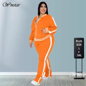플러스 사이즈 L-5XL 두 조각 세트 여성 Sweatsuit 지퍼 스트라이프 탑 슬릿 운동복 조깅 복장 매칭 세트 도매 Dropshipping