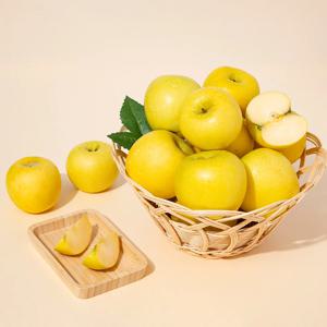 [더조은] 황금사과 시나노골드 주스용 랜덤과 3kg