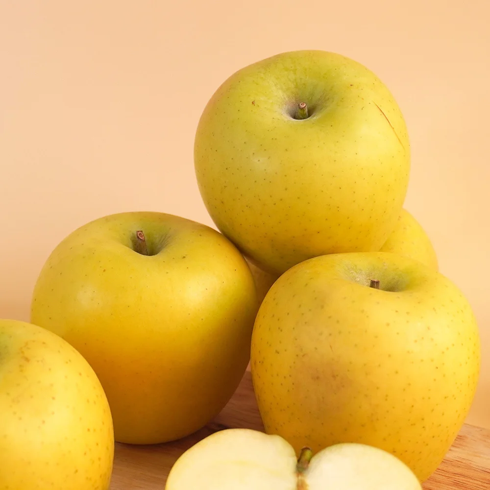 [더조은] 황금사과 시나노골드 가정용 2kg 14-16과