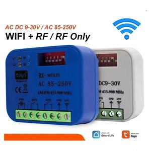 범용 RX 멀티 WIFI 차고 문 원격 제어 수신기 2CH 컨트롤러 스마트 스위치 433 868 MHz Tuya 주파수 300-900MHz