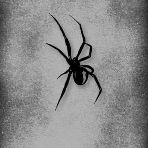 스파이더 오토바이 스티커 방수 DIY 모터바이크 사이드 패널 연료 탱크 페어링 스쿠터 비닐 데칼 멋진 동물 장식