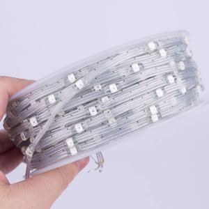 5V 12V WS2811 WS2812 3PIN 투명 렌즈 LED 스트링 조명 드림 컬러 RGBIC 개별적으로 주소 지정 가능 요정 씨앗 픽셀 빛