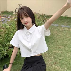 특대 자른 흰색 셔츠 여성 여름 짧은 소매 폴로 넥 버튼 다운 기본 반소매 셔츠 한국 여성 블라우스