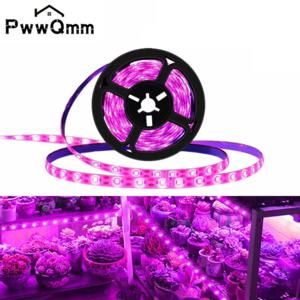 1-5m 식물 빛 성장 USB LED 스트립 5V LED 전체 스펙트럼 방수 LED 칩 온실 꽃 모종 성장 텐트 수경