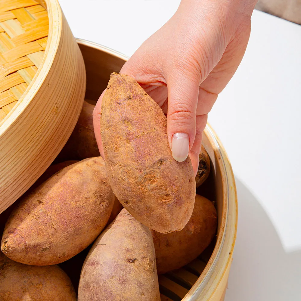 [더조은] 해남 황토 꿀밤 고구마 10kg 한입(20-50g미만)