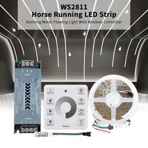 10m WS2811 흐르는 물 흐르는 LED 스트립 조명 SMD2835 경마 픽셀 주소 지정 가능 유연한 선형 램프 세트 120LED/m DC24V