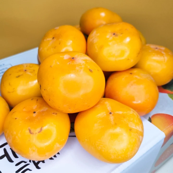 청도반시 씨없는 고당도 햇 반시