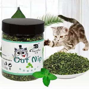 유기농 100% 천연 고품질 Catnip 가축 잔디 민트 맛 재미 있은 고양이 장난감 새로운 고양이 장난감 대화 형 고양이 장난감 애완 동물 용품