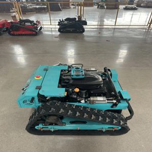 Customiaed 무선 제어 Flail 모어 잔디 깎는 기계 원격 제어 홈 제조 플랜트 기능 엔진 모터 잔디 절단