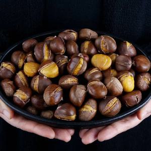 (25년햇)칼집약단밤 1kg-5kg 고소달콤 구우면 톡!! 대용량