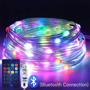 WS2812B USB 요정 조명 블루투스 LED 문자열 요정 조명 Dreamcolor RGBIC 파티 크리스마스 조명 웨딩 장식 화환
