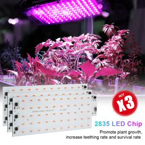 3Pcs 50W LED 성장 빛 AC220V 전체 스펙트럼 DIY 온실 수경 식물 성장 조명 Smd2835 실내 식물 빛 Seedlin