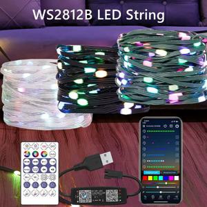 WS2812B RGB LED StringTransparent 녹색 검정색 와이어 주소 지정 가능 웨딩 갈 랜드 장식 크리스마스 조명 USB 컨트롤러 DC5V