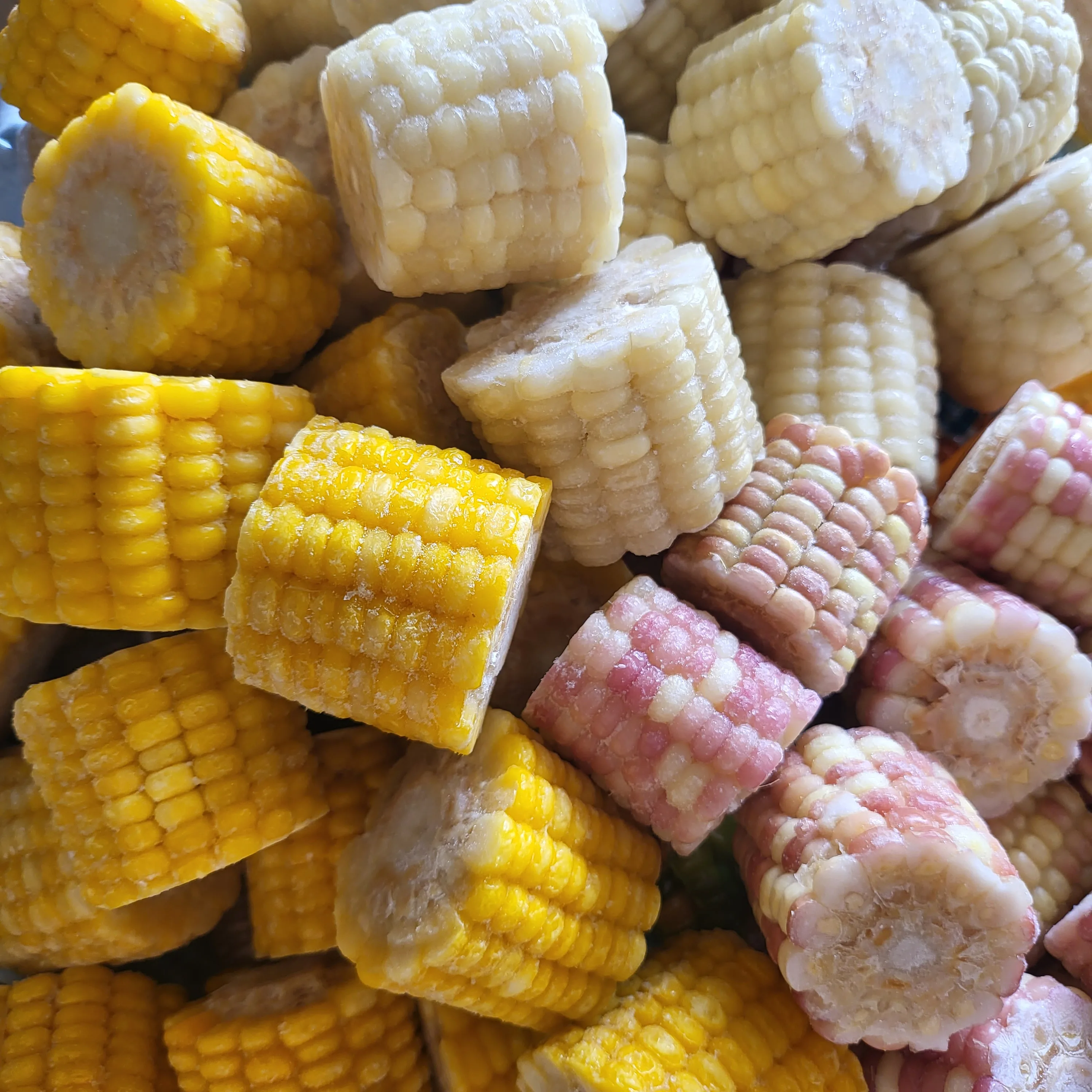알리 최저 절단옥수수(스위트콘) 백찰 황찰 홍찰 1.3.5kg