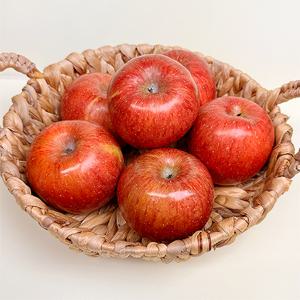 신선한 햇 홍로 가정용 사과 2kg (14-16과) 外 과수별