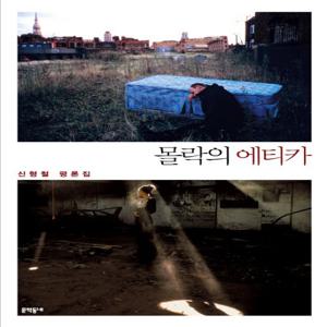 몰락의 에티카 신형철 평론집