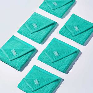 6P 시그니처 에메랄드 수피마 핸드타올 34x34