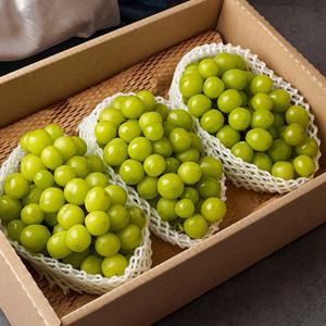 명작 사과&배 혼합 과일 선물세트 (사과/배/샤인머스켓/골드망고/애플망고)