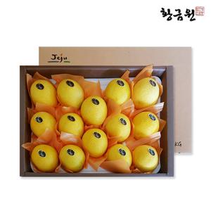 제주 서귀포 황금향 1.7kg (7-15과) 外 선물세트