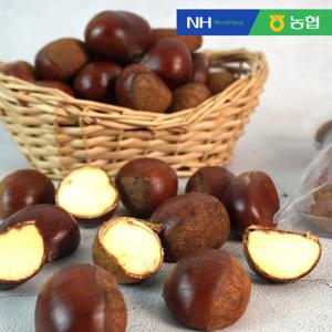 [농협] 순창 햇 알밤 특 1kg