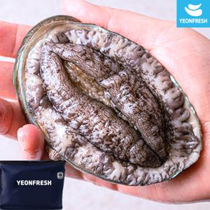 [선물포장] 완도활전복 1kg 6-7미 (미당143g내외)
