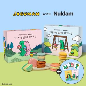 널담 뚱카롱 고식이섬유 마카롱 8구 1BOX (사랑/감동세트)