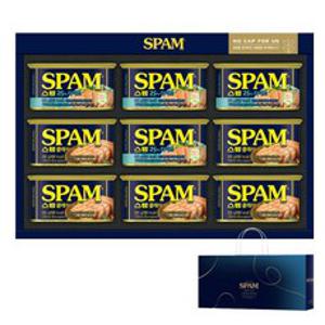 스팸 선물세트 8C호 + 쇼핑백, 1세트