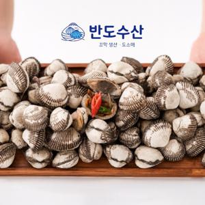 반도수산  벌교 새꼬막 / 당일 채취 / 신선 배송 꼬막까는도구 무료증정