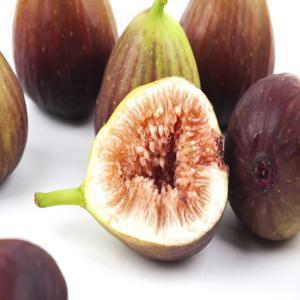 (신선집중) 무화과 영암무화과 생무화과 (1+1) 홍무화과 (500g + 500g) 3일 초특가 행사 9/15일 순차출고