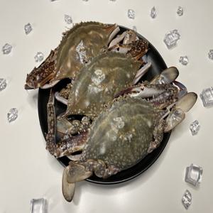 꽃게탕 꽃게찜 숫꽃게 당일바리  태안 활 숫꽃게 1kg 2~5미 내외 / 꽃게 금어기해제 특가 이벤트