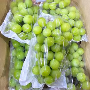 때깔찬 청포도 샤인머스켓 2kg (4~5수)