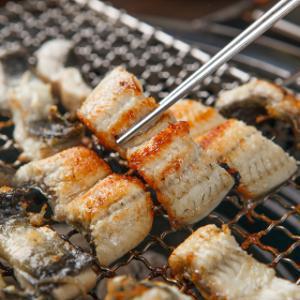 (신선집중) 국내산 자포니카 민물장어 2미 1kg/소스 2종+초생강 증정/손질후 700g 내외