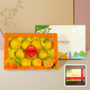 (신선집중) 한정수량 20%중복) 서귀포인정 제주 황금향 2.5kg 로얄과 선물세트 / 7-12과 / 선물추천