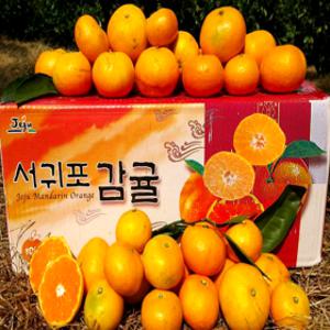 무조건당일발송 산지직송 서귀포 극조생 감귤 5kg로얄과(S-M)