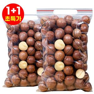 2025년 신상 견과류의 제왕 1kg+1kg 저온 베이킹 다미아 밀크향 대용량 다미아