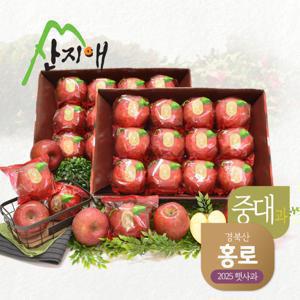 산지애 홍로 사과 6kg (3kg*2박스)