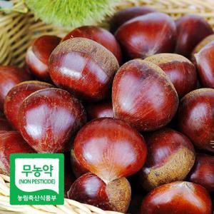 25년 햇 무농약 공주 정안밤 알밤 2kg(대품) 농가직송